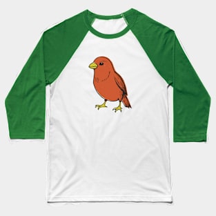 A Bird Baseball T-Shirt